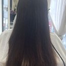 댕댕이 머리하는 날 | 머리 싹 바꾸고 기분 전환 제대로 해버린 후기, 여기가 진정한 힐링 스팟이었어요!