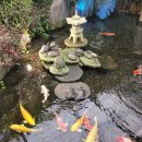 이소공인중개사사무소 이미지