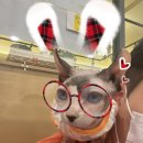 묘한스핑크스까페 안산고잔점 이미지