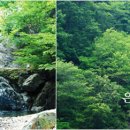 홍연폭포 네이버블로그
