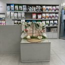 24시 딜라이트 동물의료센터 | 24시 딜라이트 동물의료센터’ 내돈내산 검진, 수술 후기 / 노령견 응급실 진료비 방학동 24시 도봉구...