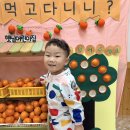 🍊귤 퍼포먼스🍊 이미지