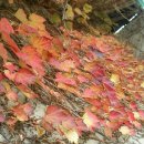 장기중학교 이미지