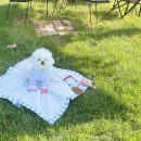 마롱스테이 이미지