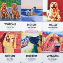 디바인독(DIVINE DOG) 이미지