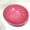 닥터캐닌 이미지