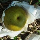 최고집농장 이미지