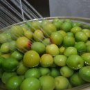 대남농장 이미지