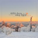 기쁨 D&P