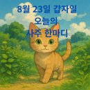 8월 23일 갑자일 운세 이미지