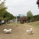 두치와 모모