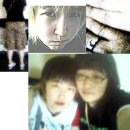 공*식 Daum카페
