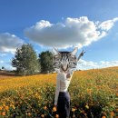 황화목장 이미지