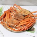 청솔수산