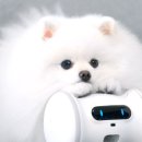 더바램