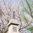 라이프플러스평생교육원