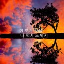 오이도선사유적공원 이미지