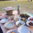 금남멧돼지 이미지