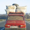 코코부자 이미지