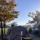 학마을캠프 | [가을캠핑] 철원 학마을캠프 (3번째 할로윈 캠핑 후기)