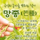 해피요리/짜파게티로 만드는 라뽂이 이미지