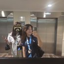 셀카정비 | 세계 7대 마라톤 &lt;2025 시드니 마라톤&gt; 참가 후기 (4) 마지막