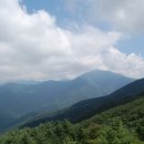 주신임업