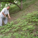 대왕농원 이미지