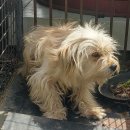 석계초등학교 이미지