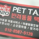 펫120 이미지