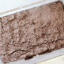 떡서방콩고물각시 이미지