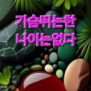 청춘별곡