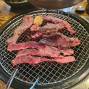 P-6519 이미지