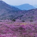 비슬산琵瑟山. 유가사瑜伽寺. 이미지