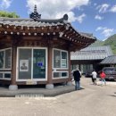 씨유하동녹차마을점 | 하동 삼신녹차마을 녹차체험 녹차밭 녹차따기 녹차만들기