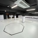 ONLY ONE 레슬링 이미지