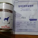 동래종합동물병원 이미지