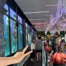 제부비치타운 | 5일 푸껫 여행 - DAY3 (만다라바 리조트, 센트럴 푸껫, BBQ PLAZA, 올드 타운, 미슐랭 투캅카오, 태교여행)