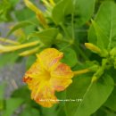 박정현농장 이미지