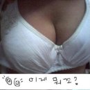 이런세상