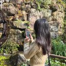 수지114 | 수지 신봉동 미용실 라일헤어 볼륨매직 후기 애견동반 가능 소라원장