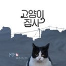 고양이집사 이미지