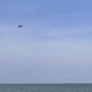 산타비치 이미지