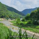 궁동천 이미지
