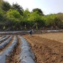 다래골농장 이미지