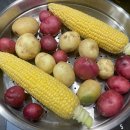 손병곤 농장 이미지