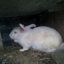 천왕농장 이미지