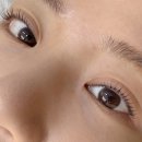 쌤블리 네이버블로그