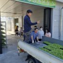 단양군농업기술센터 이미지