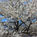 군산경로식당 이미지